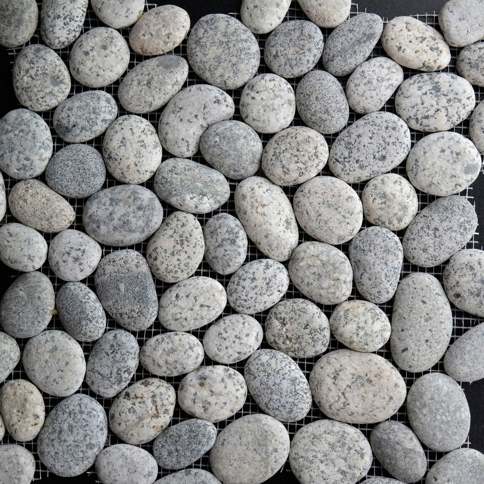 Round Pebble Mosaic Speckled Stone Honed  